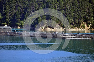 Mussel farm at Picton
