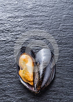 Mussel on the graphite background