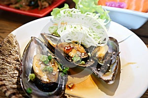 Mussel, grilled sea mussel or grilled mussel