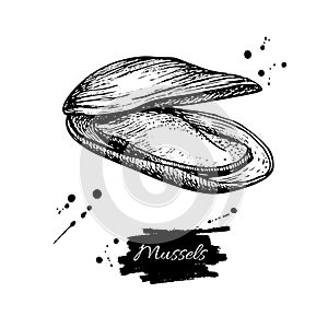 Mussel hand drawn vector illustration. Engraved style vintage seafood. Oyster sketch.