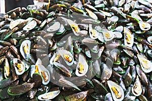 Mussel on ice in Thailand market ,seafood background ,seafood market ,raw food