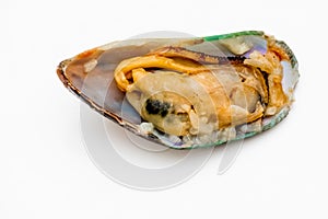 Mussel Isolated on White Background