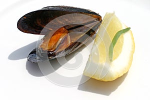 Mussel and lemon