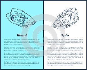 Mussel and Oyster Vector Double Color Graphic