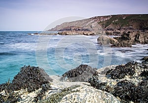 Mussel point near the Carracks Zennor