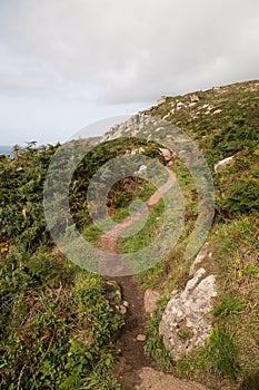 Mussel point near the Carracks Zennor