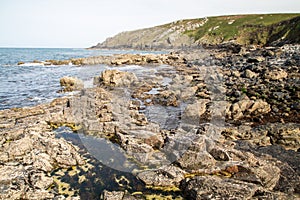 Mussel point near the Carracks Zennor