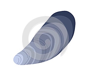 Mussel, sea clam. Closed seashell, mollusk. Marine mussle mollusc. Undersea shellfish, shell. Flat vector illustration