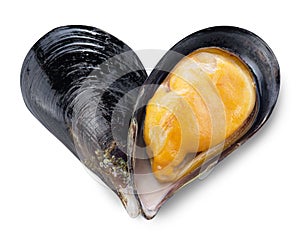 Mussel in a shape of heart.