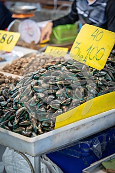 Mussel in Shelll, frozen on ice for sale and cook, in fresh market