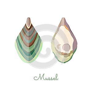 Mussel shells in flat style isolated on white