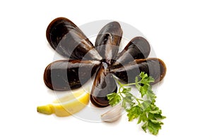 Mussel with sliced lemon