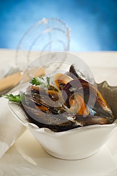 Mussel soup