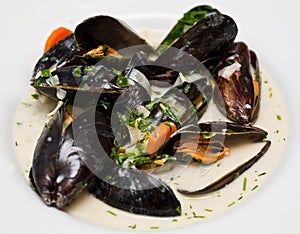 Mussel soup