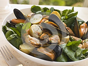 Mussel Watercress and Potato Salad