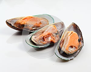 Mussels