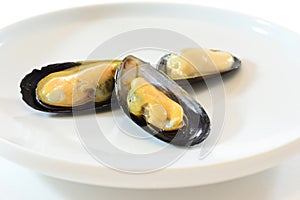 Mussels