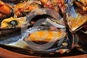 Mussels