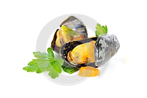 Mussels