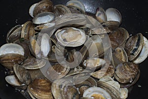 Mussels and clams on black background