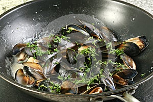 Mussels cooked in white wine sauce