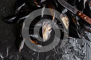 Mussels cooking concept. Raw seafood on black background.