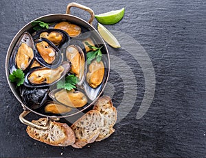 Mussels in copper pan on the graphite background