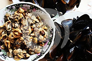 Mussels