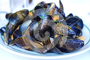 Mussels dish