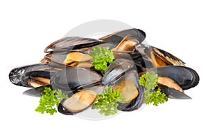 Mussels isolated