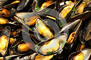 Mussels mariniere