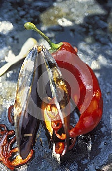 Mussels and pepper cooked a la plancha photo