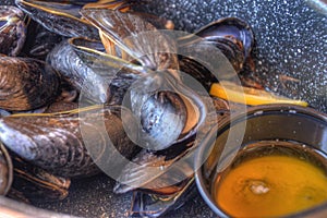 Mussels Steamed in Pot with Butter photo