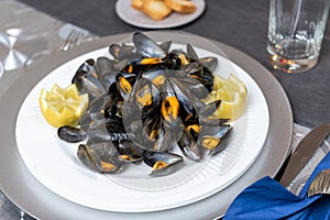 Mussels steamed with spices and lemon. Typical Galician and Spanish food. Spanish tapas