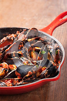 Mussels on stirfried tomato sauce