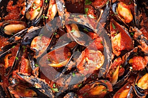 Mussels on stirfried tomato sauce