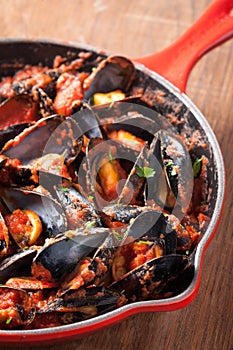 Mussels on stirfried tomato sauce