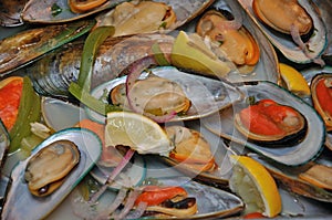 Mussels to eat photo