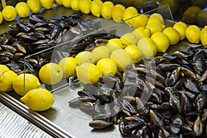 Mussles store