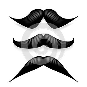 Mustache isolated on white. Black vector vintage moustache. Facial hair.Barber shop. Retro collection. Hipster beard.