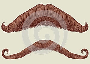 Mustaches for man. photo