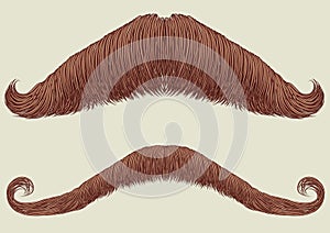 Mustaches for man.