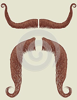 Mustaches set for man.