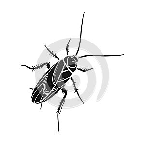 A mustachioed cockroach. Arthropod insect, cockroach single icon in black style vector symbol stock isometric