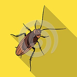 A mustachioed cockroach. Arthropod insect, cockroach single icon in flat style vector symbol stock isometric