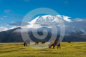 Mustagh Ata Mountain at Karakul Lake in Pamir Mountains, Akto County, Kizilsu Kirghiz Autonomous Prefecture, Xinjiang, China.