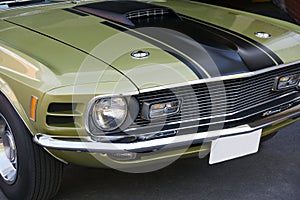 Mustang photo