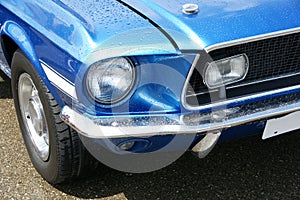 Mustang with water drops