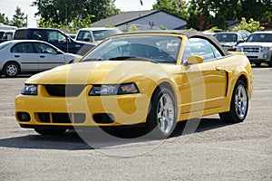 Ford Mustang Cobra