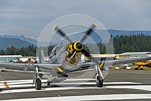 Mustang fighter warbird photo